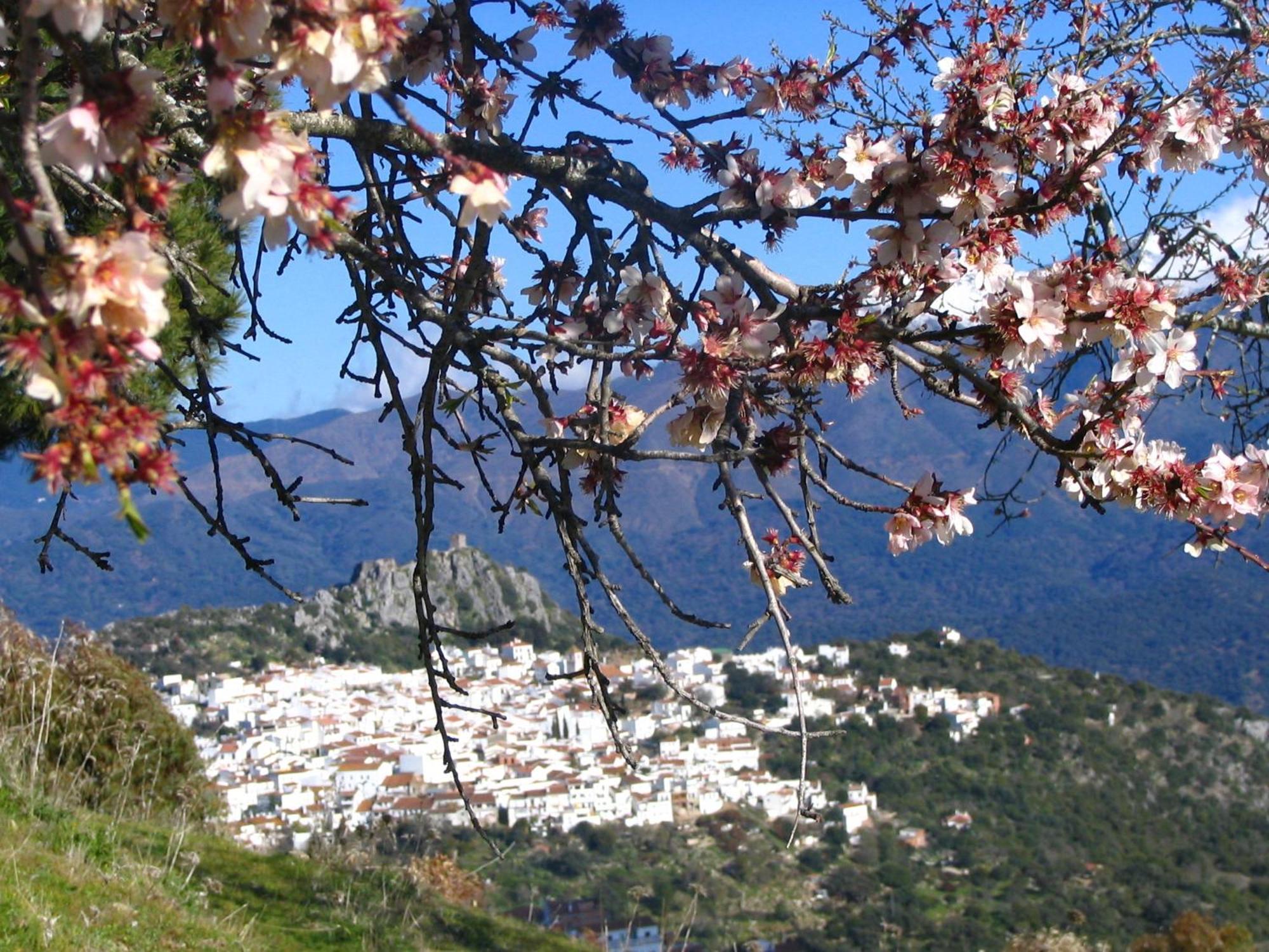 La Fructuosa Hotel Gaucin Luaran gambar